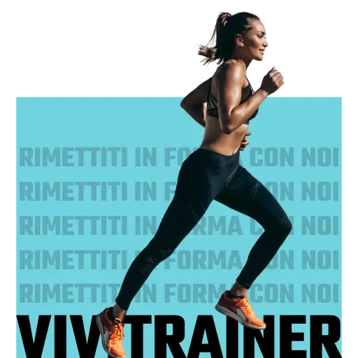 Vivi Trainer